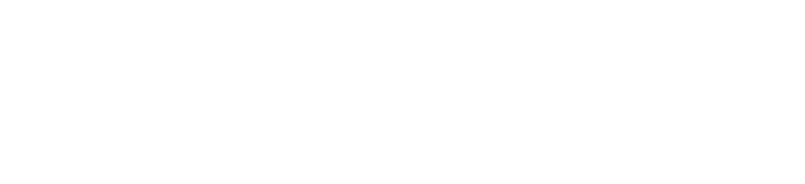 Marca Ciudad Chihuahua